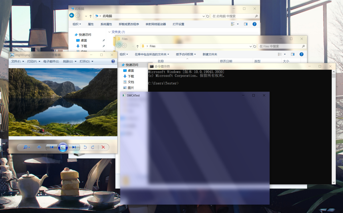 Windows 사진 뷰어