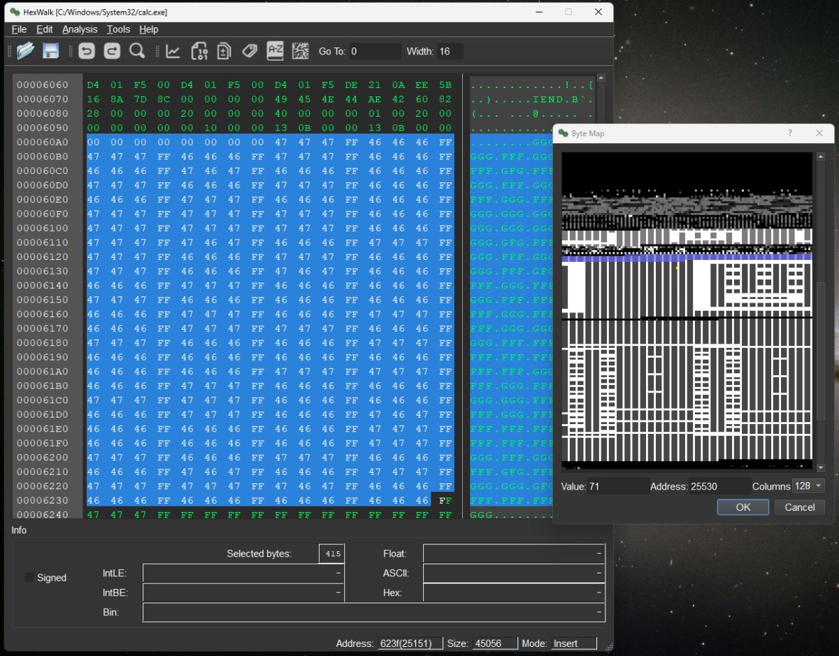 Byte Map 창