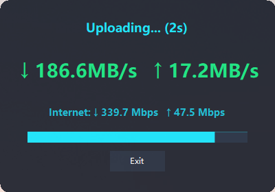 LiteMonitor 네트워크 테스트 화면
