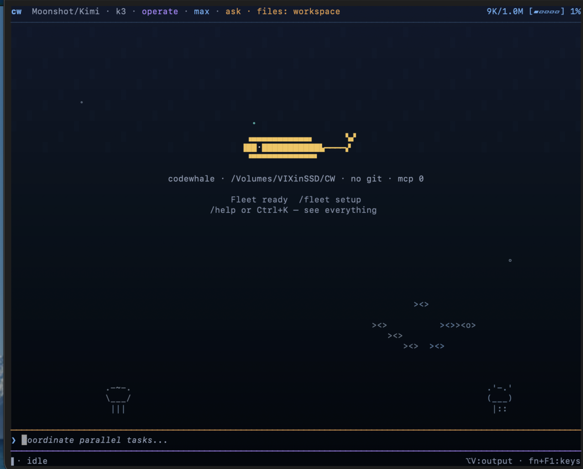 CodeWhale 시작 화면