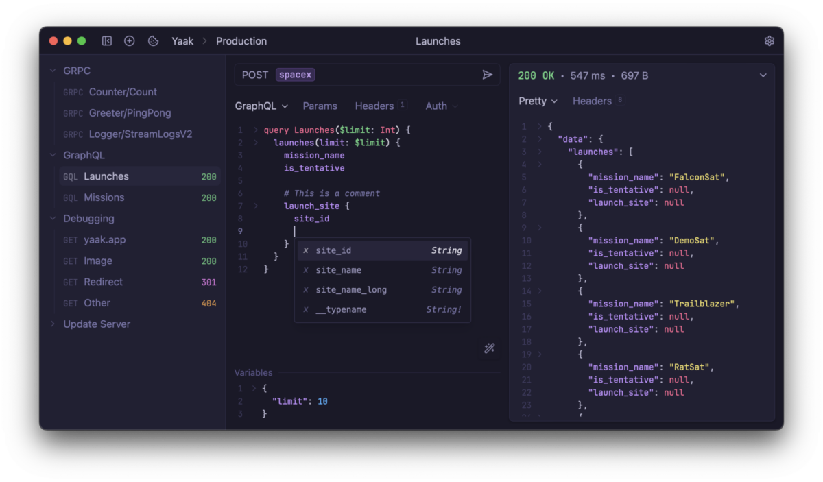 GraphQL 쿼리 편집 및 실행 화면
